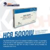 HCG 5000IU