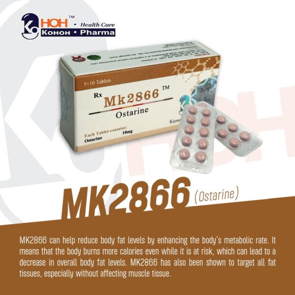 WhatsApp Image 2025-12-03 at 1.07.56 AM (2) MK2866